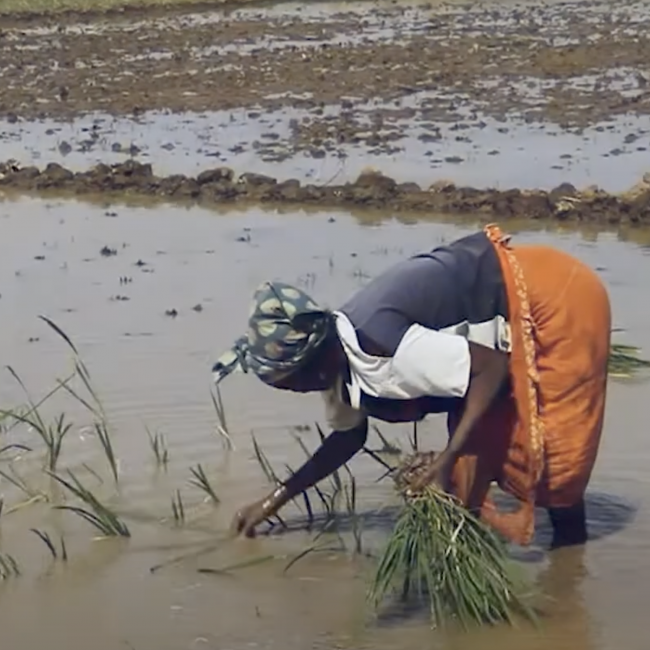 Pla director cooperacio valenciana joan santonja gva generalitat astronom studio audiovisual